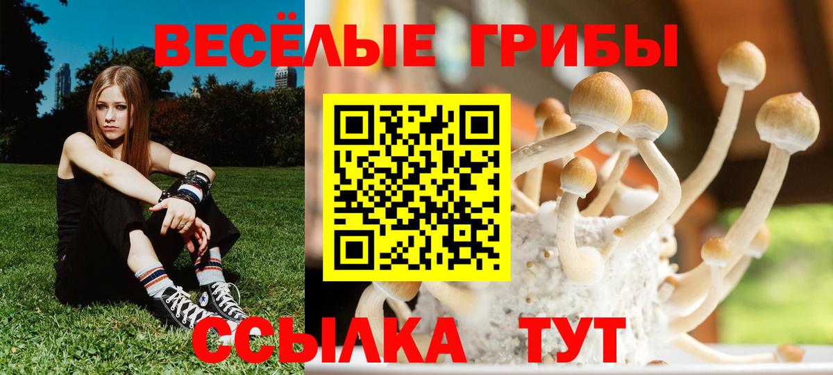 Дзержинский  Галлюциногенные грибы ЛСД  Галлюциногенные грибы мухоморы  Вход с VPN 